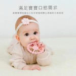 KuKu PLUS 摩天輪造型 矽膠固齒器 牙膠 (適合3個月以上) (粉紅/藍/杏色)